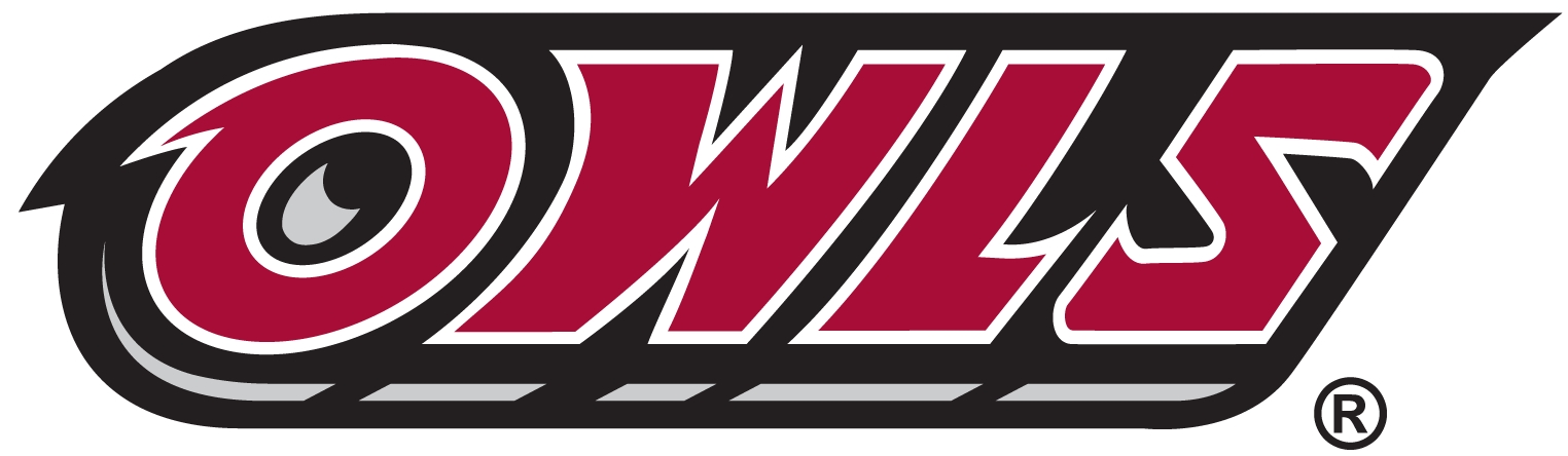 Temple Owls 1996-Pres Wordmark Logo diy DTF decal sticker